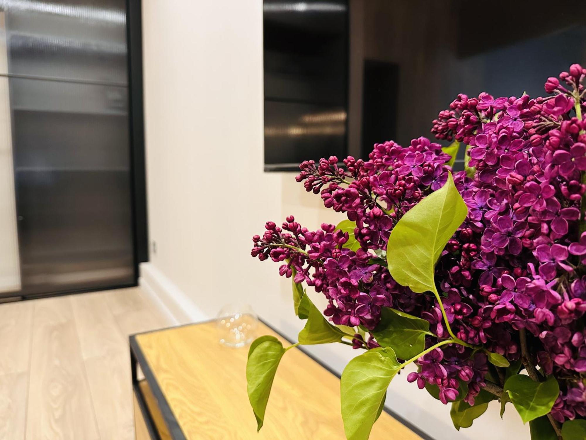 Apartment Freedom In The Heart Of - Balabana Str And Svoboda Avenue *